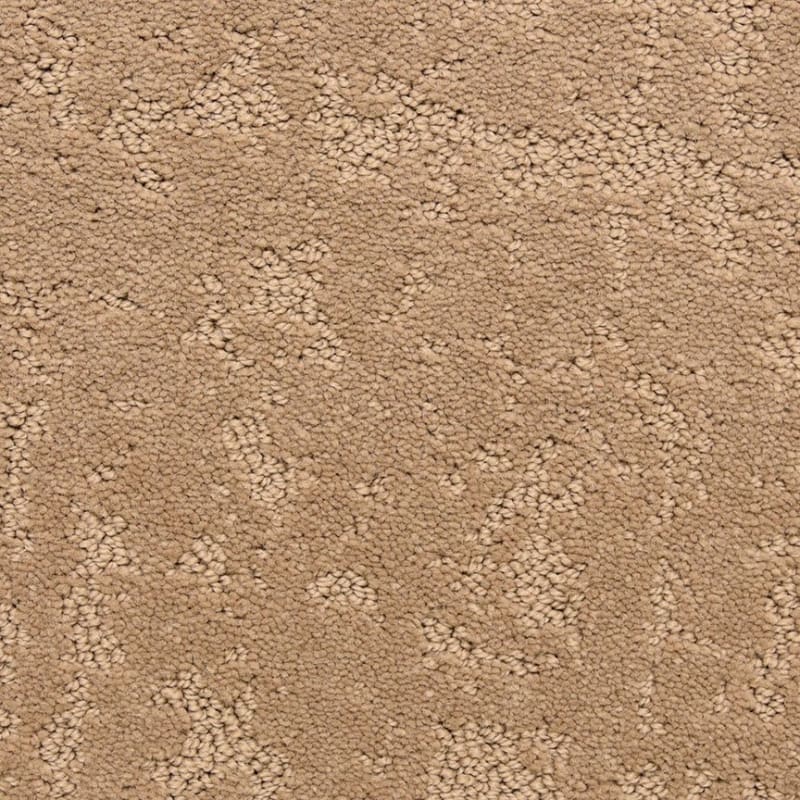Classic Demeanor carpet by Dixie Home