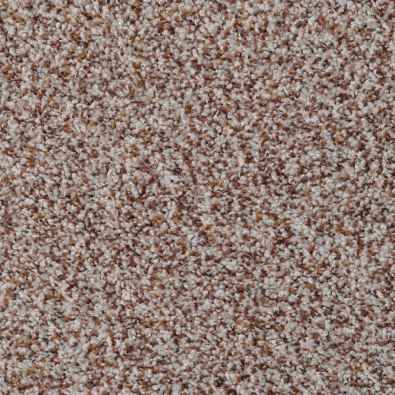 Bombay carpet by Dixie Home