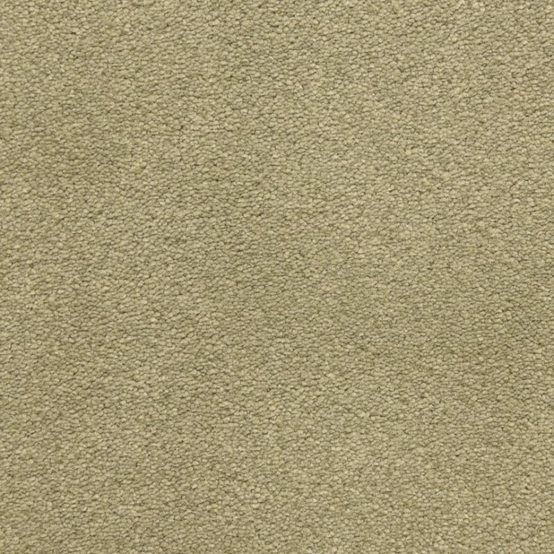 Grand Isle carpet by Dixie Home