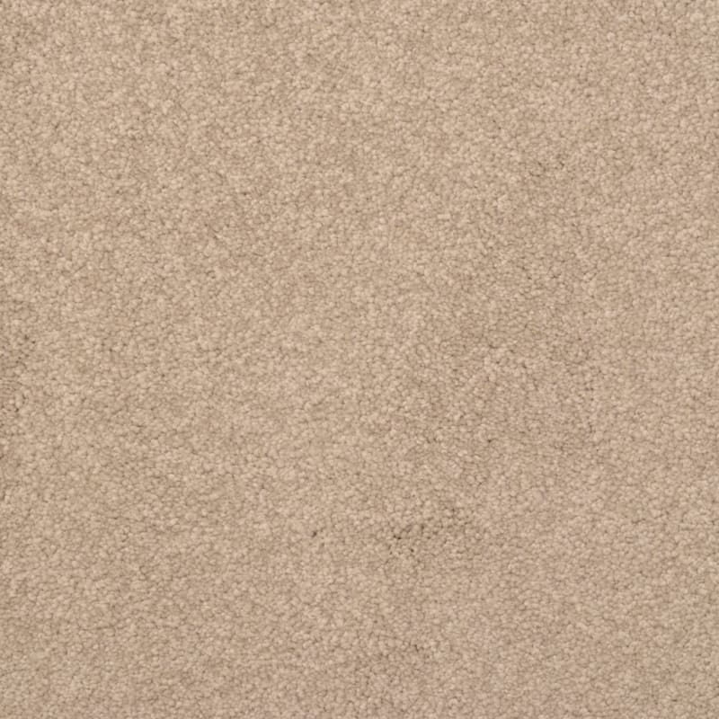 True Comfort carpet by Dixie Home