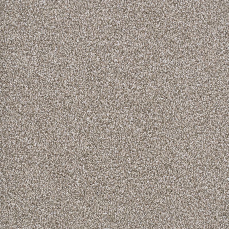 Top Dog carpet by Dixie Home