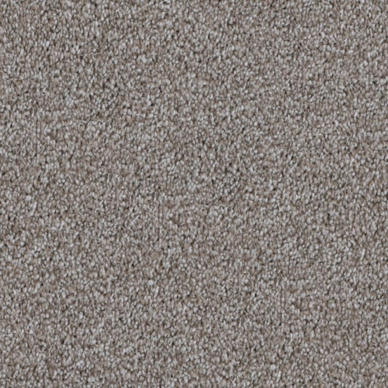 Dx108 carpet by Dixie Home