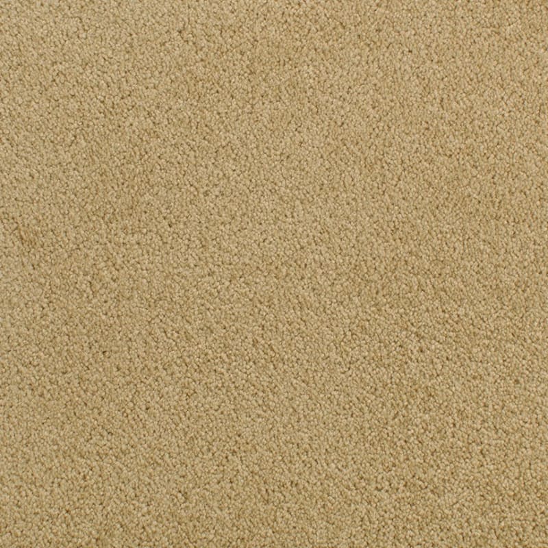 Accolade carpet by Fabrica