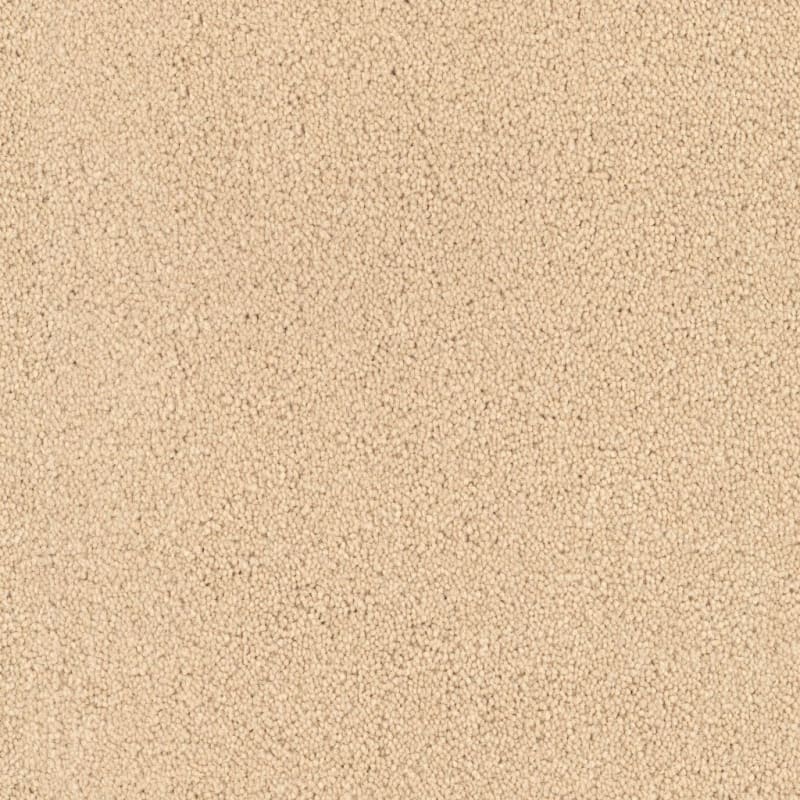 Tribute carpet by Fabrica