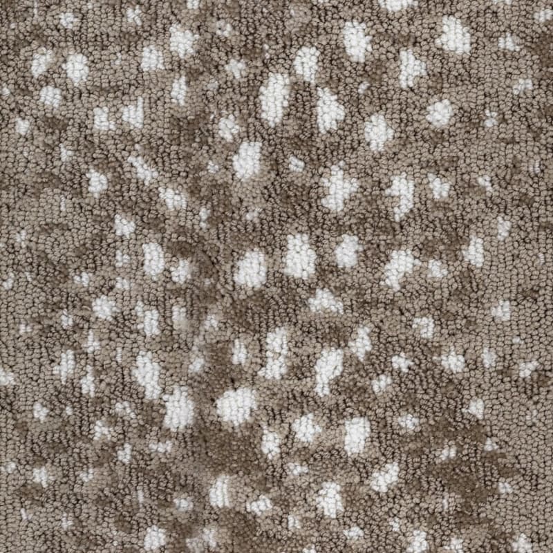 Habitat carpet by Fabrica