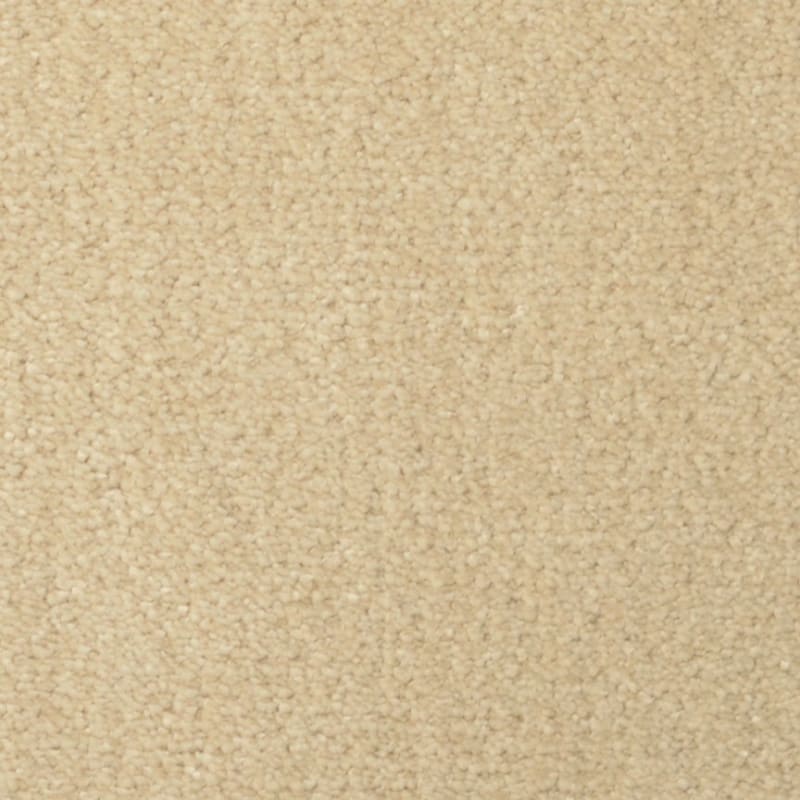 Seduction carpet by Fabrica