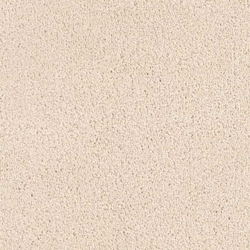 Tribute carpet by Fabrica