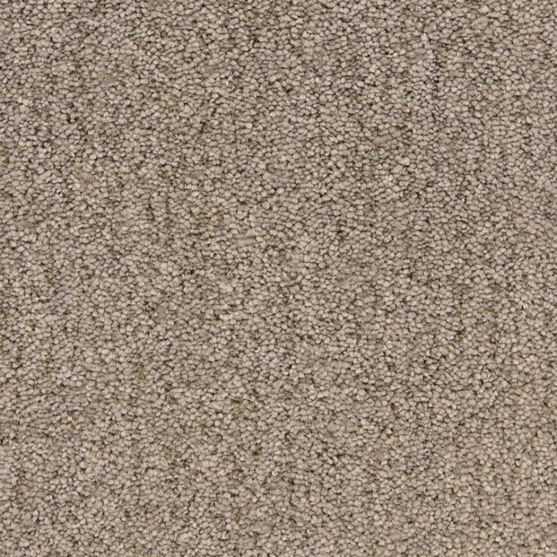 Monterey carpet by Fabrica