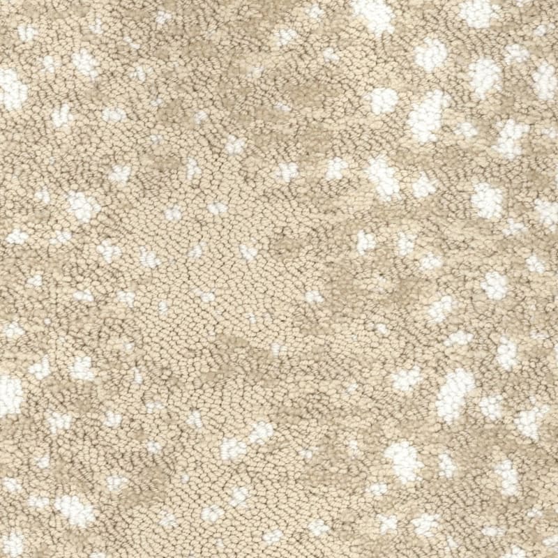 Habitat carpet by Fabrica