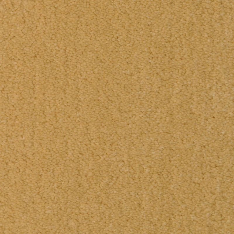 Seduction carpet by Fabrica