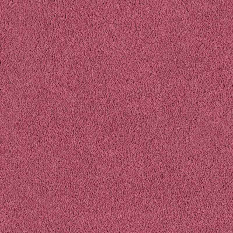 Tribute carpet by Fabrica