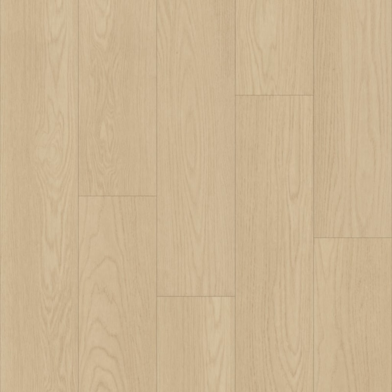 Bravo carpet by TRUCOR®