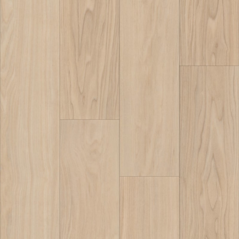 Bravo carpet by TRUCOR®