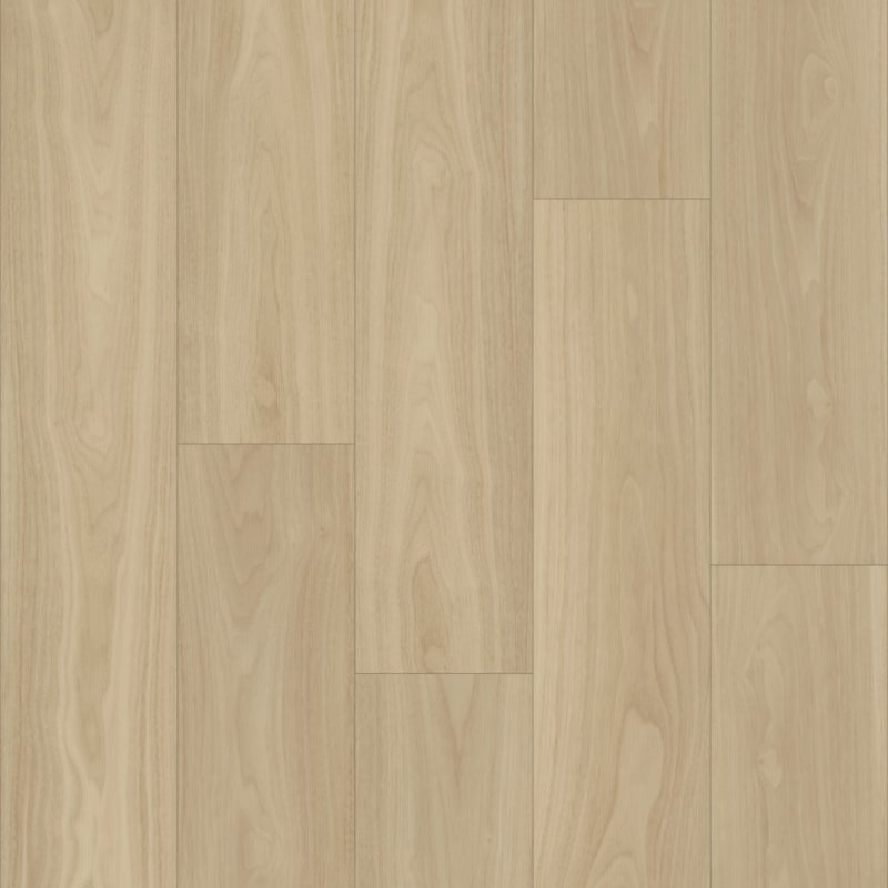 Bravo carpet by TRUCOR®