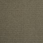 Cotton Seed