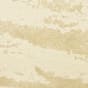 Felidae