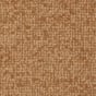 Saddle Brown