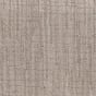 Birch Bark