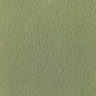 Pistachio