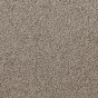 Canopy