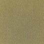 Burlap