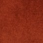 Desert Paintbrush
