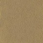 Wheat