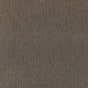 Iron