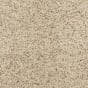 Pebble Mosaic