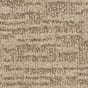 Sandbark
