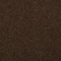 Marsh Brown
