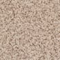 Pebble Mosaic