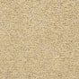 Sand Storm