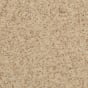 Parchment