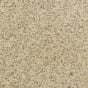Pebble Mosaic