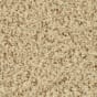 Pebble Mosaic