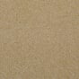 Sand Dune