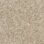 Pebble