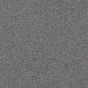 Iron