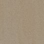 Stately Beige