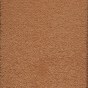 Copper Penny
