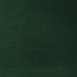 Shamrock