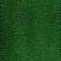 Lawn