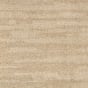 Desert Sand