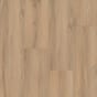 Moncton Oak