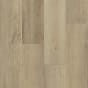 Sandal Oak