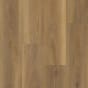 American Hickory