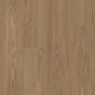 Sail Oak
