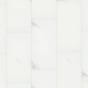Carrara Cotton