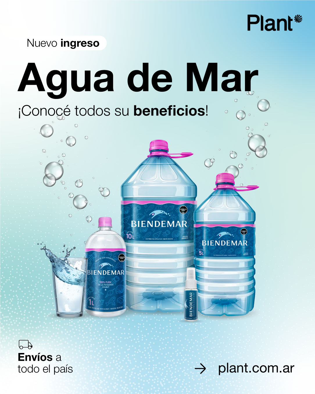 Plant Post 6 - Agua de Mar